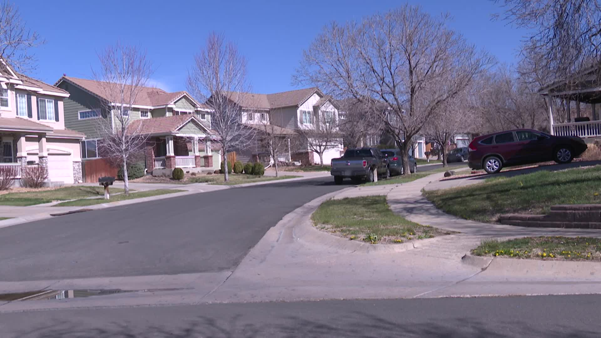 Thumbnail image for Tree Clearance Reimbursement Program